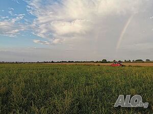 image_7