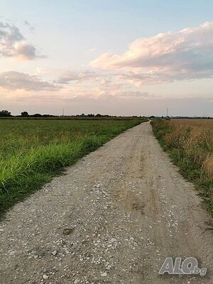image_9