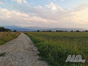 image_10