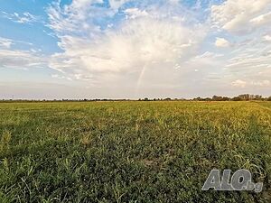 image_11