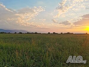 image_12