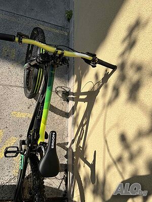 image_11