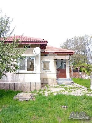 image_7