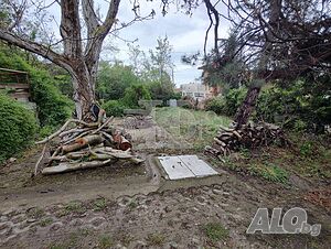 image_15