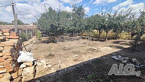 image_12