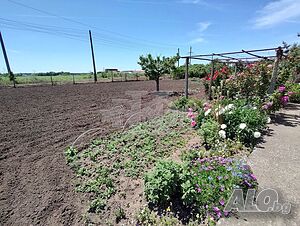 image_13