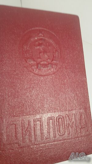 Ретро диплома №016380 от 1967 г.