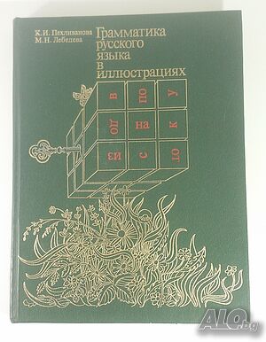 Грамматика русского языка в иллюстрациях