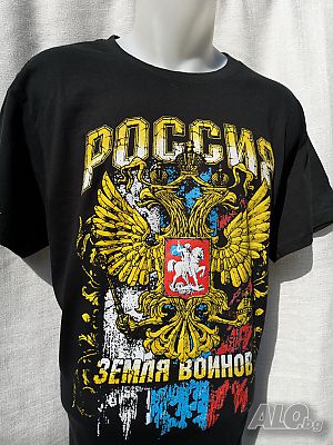 image_11