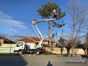 Рязане, кастрене и премахване на опасни дървета и клони в област Пловдив