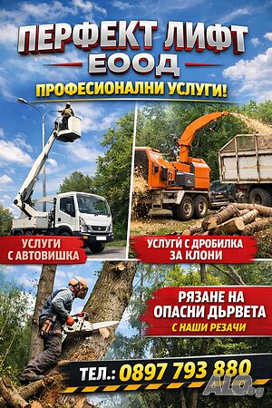 Рязане, кастрене и премахване на опасни дървета и клони в област Пловдив