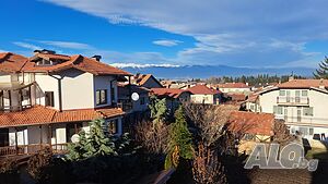 image_41