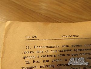 image_7