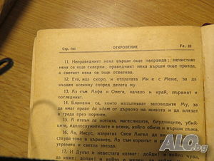 image_7