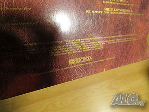 image_6