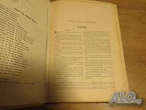 image_7
