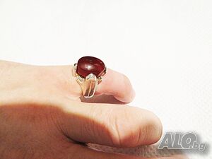 image_6