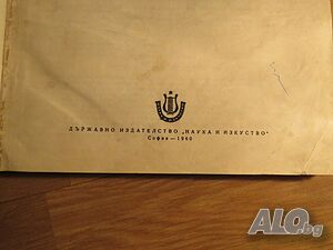 image_3