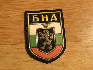 текстилна везана черна емблема БНА - Българска народна армия от 80те - съхранете спомена и духа за Б