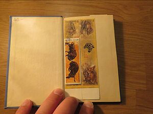 image_2