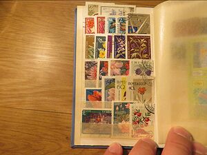 image_6