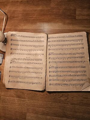 image_7