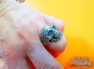 image_4