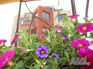 image_47