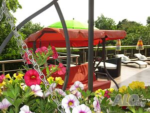 image_48