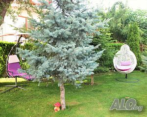 image_31