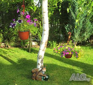 image_35