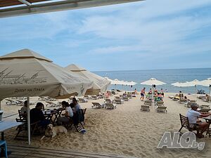 image_21