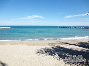 image_33