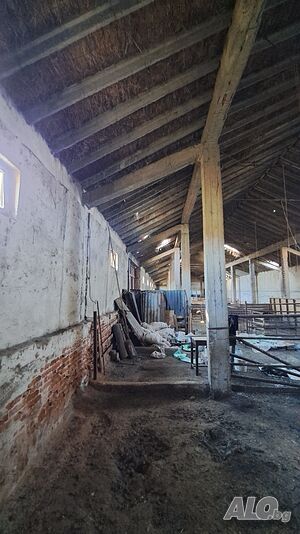 image_6