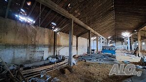 image_10