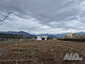 image_9