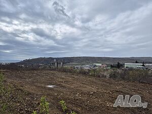 image_6