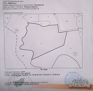 image_6