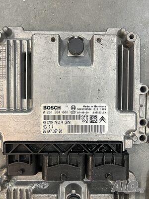 image_5