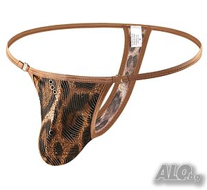 image_5