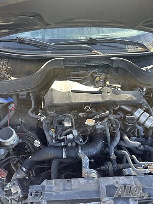 image_7