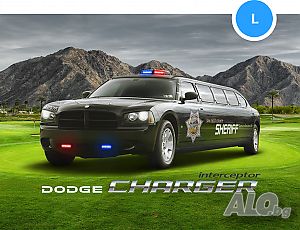 image_7