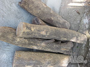image_9