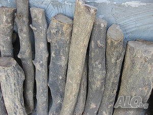 image_11