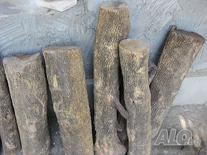 image_12