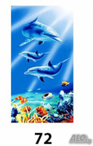 image_7