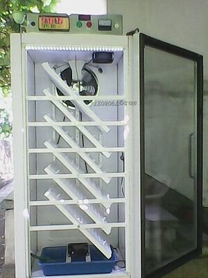 image_8