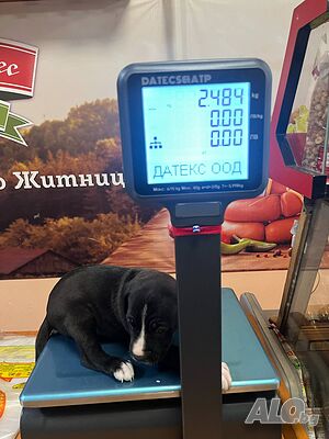 image_3