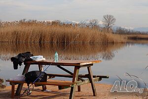 image_15