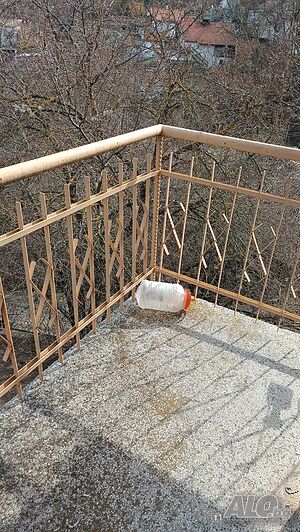 image_8